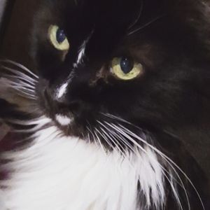 Meet your Posher, Deb n